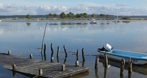 Restaurant au Cap Ferret